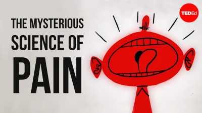 The mysterious science of pain